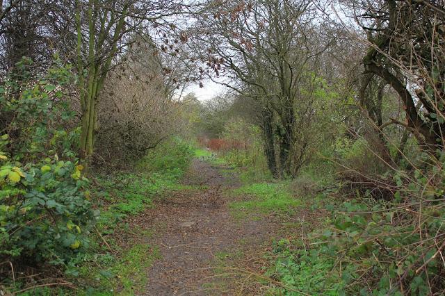 Un paseo por el Otoño europeo