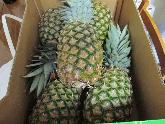 VIVELAFRUTA.COM VIVELAFRUTA.COM