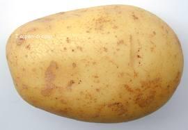 Patatas: baratas, nutritivas (y no engordan) patata1 Patatas: baratas, nutritivas (y no engordan)