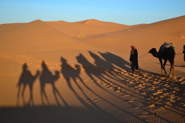 Las sombras de los dromedarios formando una típica postal del desierto