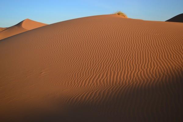 Las tradicionales líneas dibujadas en el desierto