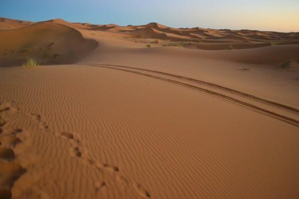 Desierto del Sáhara, al atardecer