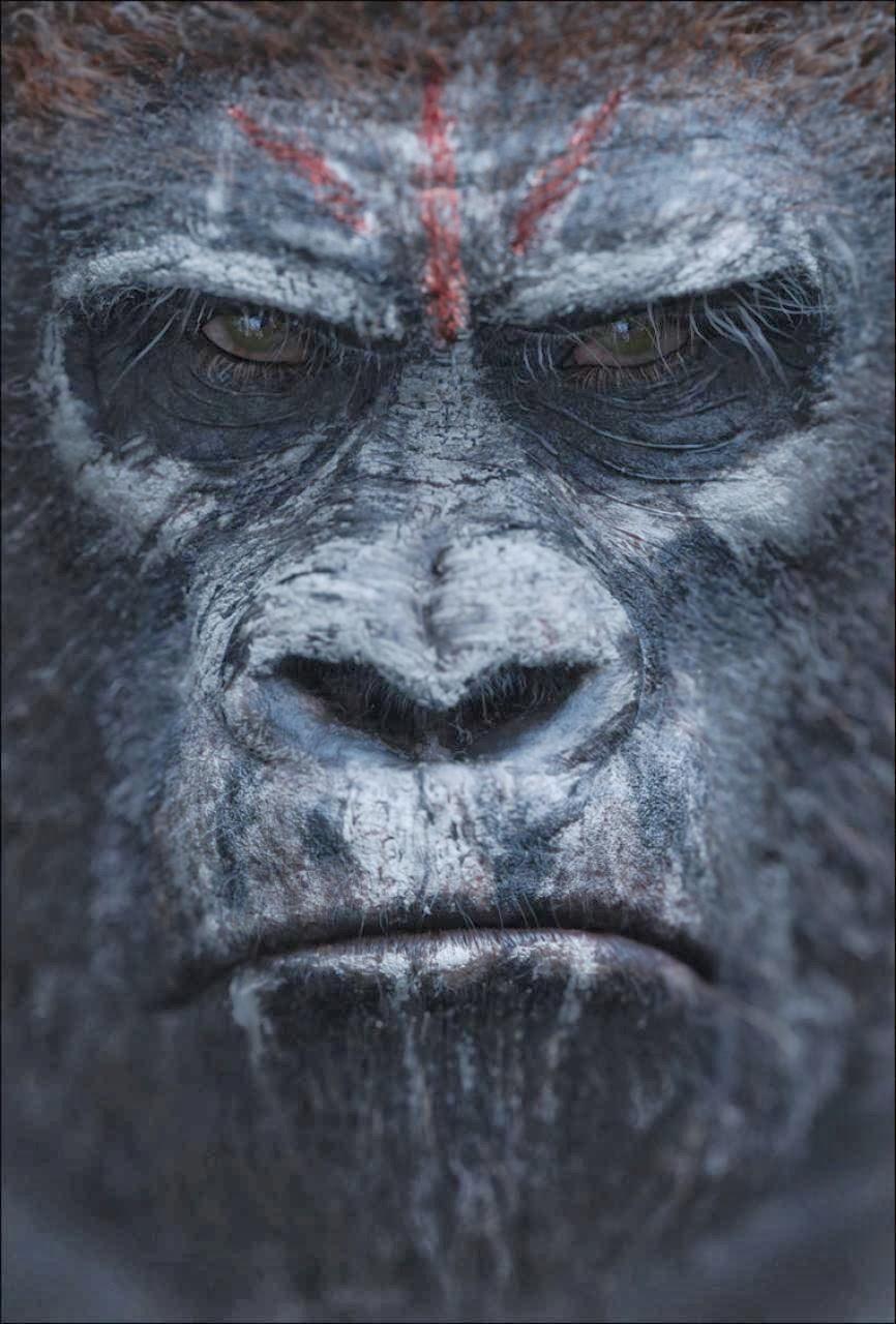 4 Nuevos Posters Dawn Of The Planet Of The Apes