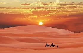 UNA PIEDRA EN EL DESIERTO. Ana María Manceda