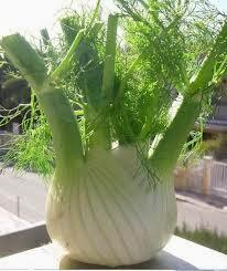 ENSALADA DE HINOJO CON COLAS DE GAMBAS ENSALADA DE HINOJO CON COLAS DE GAMBAS