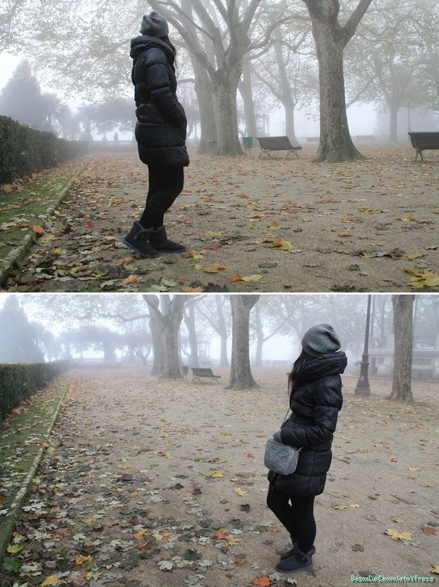 IN THE MIST IN THE MIST