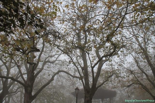 IN THE MIST IN THE MIST