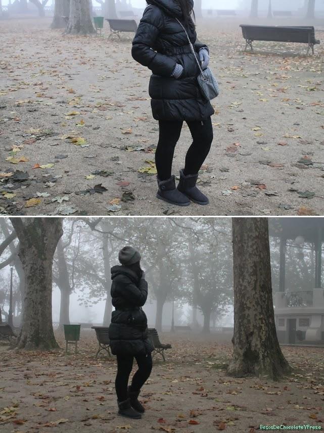 IN THE MIST IN THE MIST