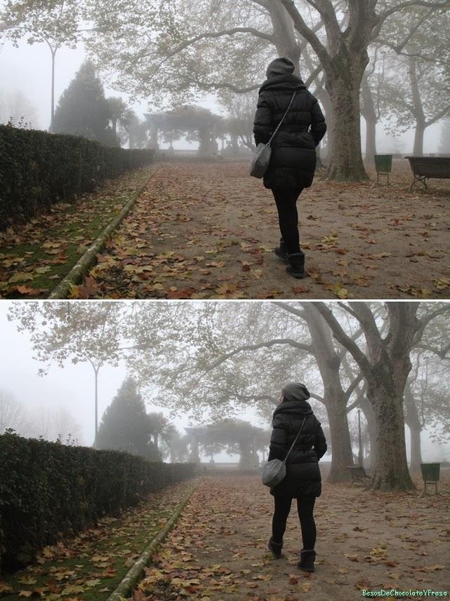 IN THE MIST IN THE MIST