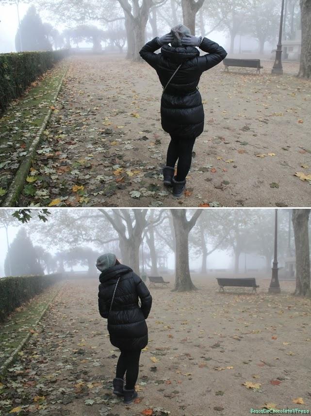 IN THE MIST IN THE MIST