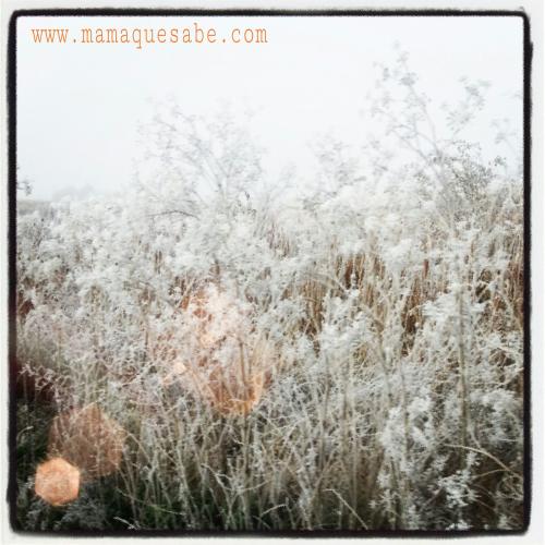 Blognovela: “Nuevas pruebas de la vida” Blognovela