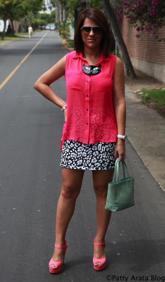 Mis looks Mis looks, Jessica Butrich, Accesorios, Club J, Cartera menta