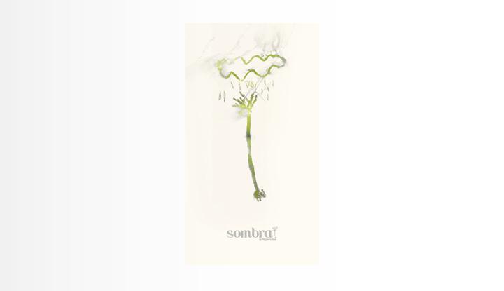 sombra-alejandro-sanz Sombra Alejandro Sanz