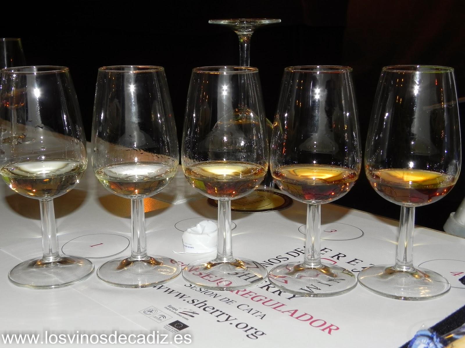 Curso de Iniciación a los Vinos de Jerez: Bodegas