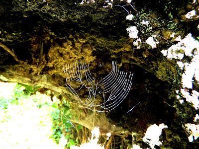 El jardín de la Saleta en mayo. El jardín de la Saleta en mayo.