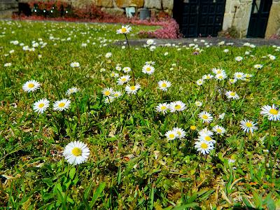 El jardín de la Saleta en mayo. El jardín de la Saleta en mayo.