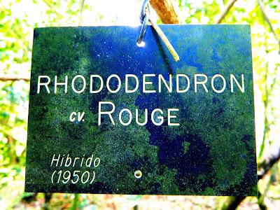 El jardín de la Saleta en mayo. El jardín de la Saleta en mayo.