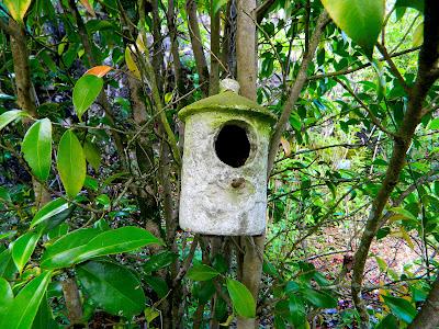 El jardín de la Saleta en mayo. El jardín de la Saleta en mayo.