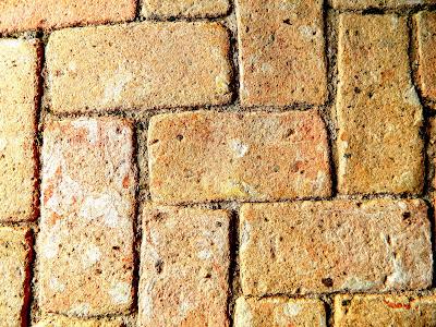 El jardín de la Saleta en mayo. El jardín de la Saleta en mayo.