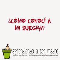 ¿Cómo conocí a mi suegra? ¿Cómo conocí a mi suegra?