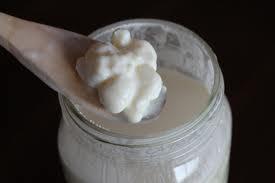 kefir1 kéfir, leche fermentada para reforzar el sistema inmunológico (probiótico)