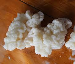 kéfir, leche fermentada para reforzar el sistema inmunológico (probiótico) kefir5 kéfir, leche fermentada para reforzar el sistema inmunológico (probiótico)