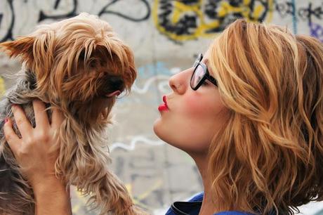 Electric Blue in winter Electric Blue in winter