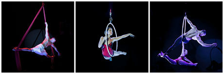 ¡La vida es un circus cabaret! ¡La vida es un circus cabaret!