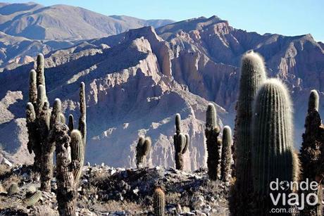 Pucará de Tilcara, Jujuy Pucará de Tilcara, Jujuy