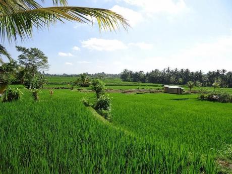 Estado ZEN en Ubud (Bali)