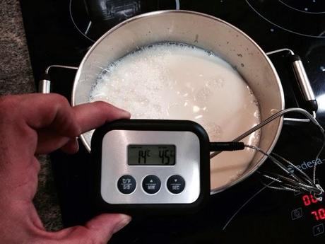 Foie micuit de Navidad Foie micuit de Navidad