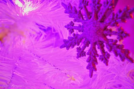 Felices Fiestas!!! Felices Fiestas!!!