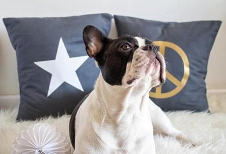 Boho Decho Shop Boho Decho Shop