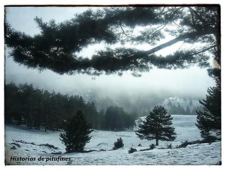 Sábado de sensaciones: Navidad Sábado de sensaciones: Navidad