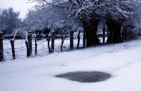 Los arqueologos pedimos a los Reyes Magos… Arqueologia Nevada