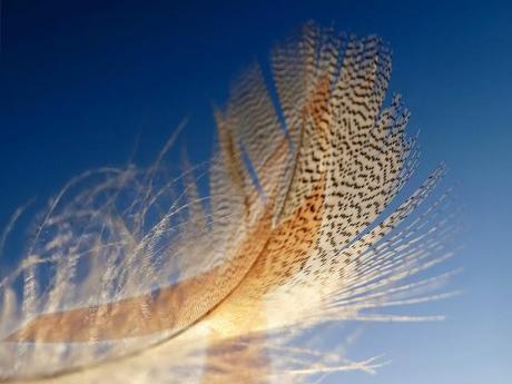 El cáncer fue mi despertar. LIGERA (X) El cáncer fue mi despertar. LIGERA (X)