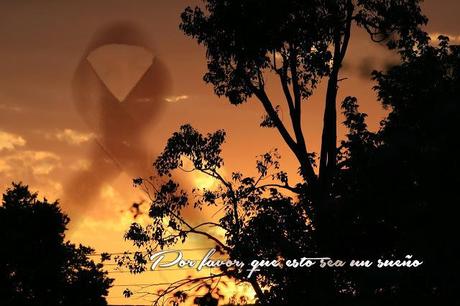 El cáncer fue mi despertar. POR FAVOR, QUE SEA UN SUEÑO (XI) El cáncer fue mi despertar. POR FAVOR, QUE SEA UN SUEÑO (XI)