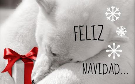 FELIZ NAVIDAD!