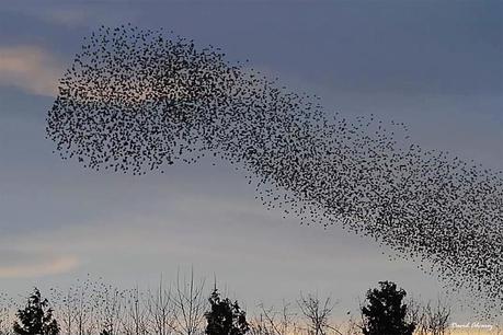 Dibujando en el cielo Dibujando en el cielo