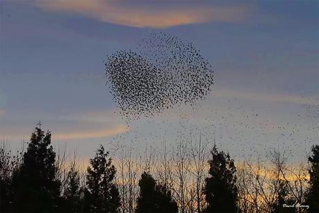 Dibujando en el cielo Dibujando en el cielo