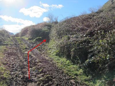 Ascensión a la Mostayal (1.313 m.) Ascensión a la Mostayal (1.313 m.)