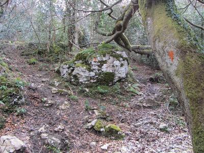 Ascensión a la Mostayal (1.313 m.) Ascensión a la Mostayal (1.313 m.)