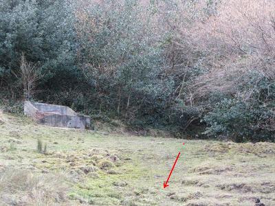 Ascensión a la Mostayal (1.313 m.) Ascensión a la Mostayal (1.313 m.)