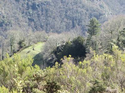 Ascensión a la Bobia (1.197 m.) Ascensión a la Bobia (1.197 m.)