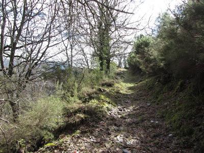 Ascensión a la Bobia (1.197 m.) Ascensión a la Bobia (1.197 m.)