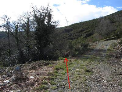 Ascensión a la Bobia (1.197 m.) Ascensión a la Bobia (1.197 m.)