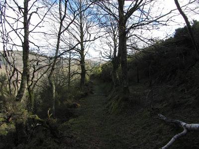 Ascensión a la Bobia (1.197 m.) Ascensión a la Bobia (1.197 m.)