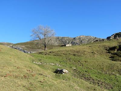 Ascensión a la Llambria (1.749 m.) Ascensión a la Llambria (1.749 m.)