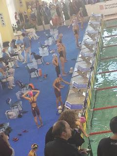 Campionats d´Hivern de Natació !!!!! Campionats d´Hivern de Natació !!!!!