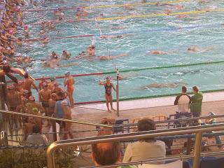 Campionats d´Hivern de Natació !!!!! Campionats d´Hivern de Natació !!!!!